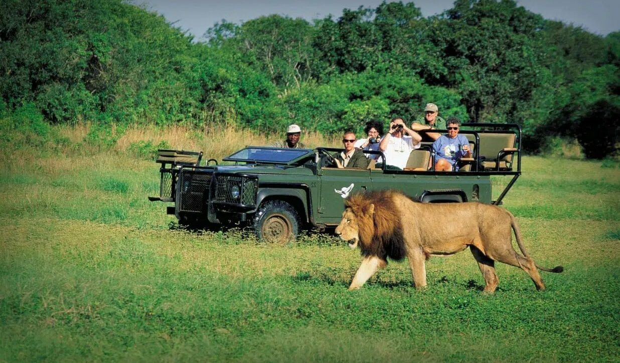 Voyage organisé en Afrique du Sud pour assister au match Espérance vs Mamelodi Sundowns – billet inclus, hébergement et transport compris, expérience football VIP avec Travelsquare.